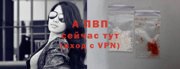 ПСИЛОЦИБИНОВЫЕ ГРИБЫ Верхнеуральск