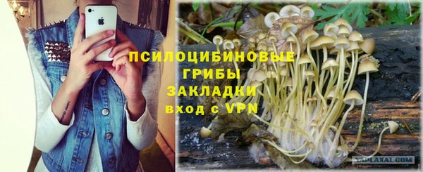 ПСИЛОЦИБИНОВЫЕ ГРИБЫ Верхнеуральск