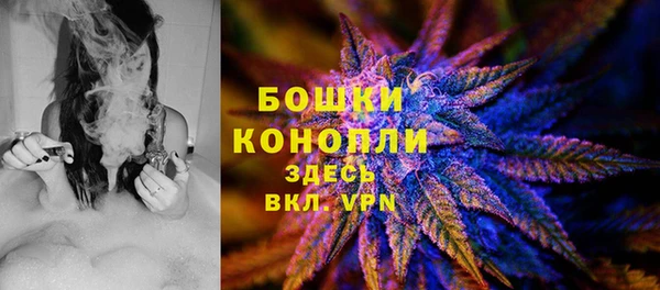 твердый Верхний Тагил