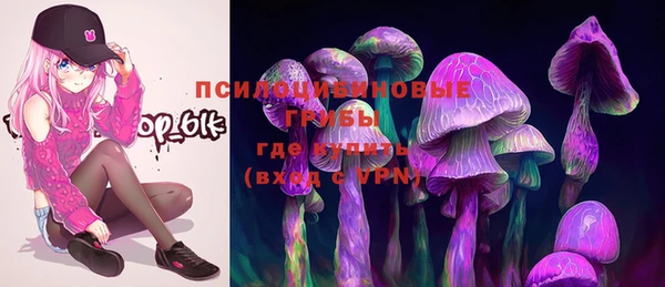 твердый Верхний Тагил