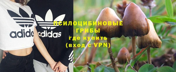 твердый Верхний Тагил