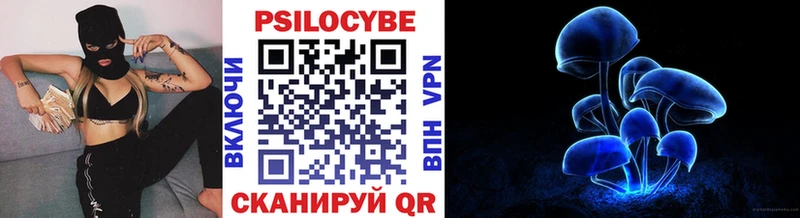 Псилоцибиновые грибы GOLDEN TEACHER  купить закладку  Кинель 